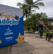 Feira de Adoção garante novos lares e acolhimento responsável para cães e gatos
