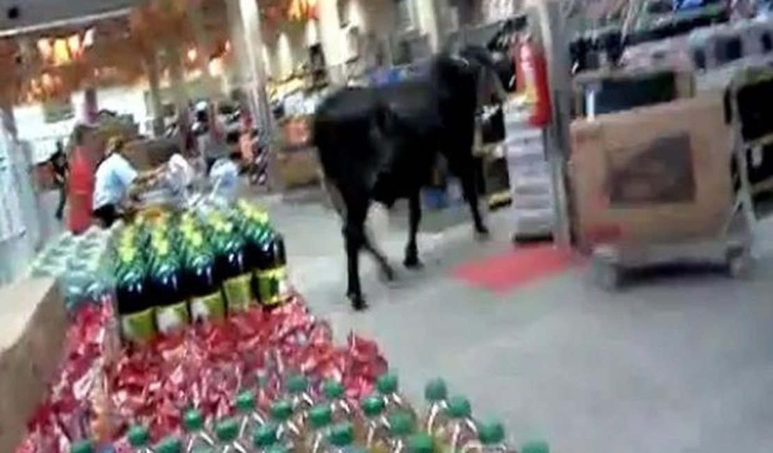 Boi invade loja de supermercado em São Cristóvão, SE