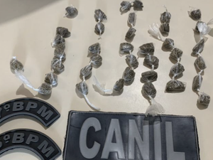 Polícias Militar e Civil realizam operação contra tráfico de drogas em três municípios de Alagoas