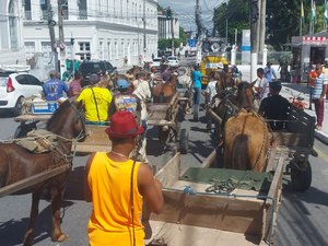 Carroceiros bloqueiam vias no Centro de Maceió contra apreensão de animais