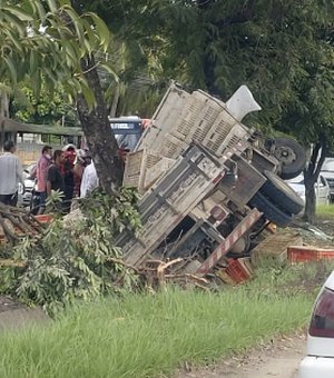 Motorista perde controle e colide com caminhão em árvore em Maceió 