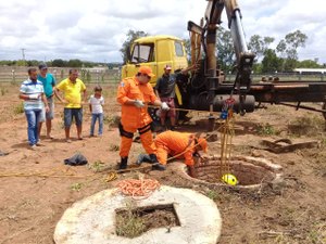 Vaca cai dentro de cacimba e mobiliza bombeiros em Arapiraca
