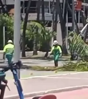 Coqueiro despenca na avenida Sílvio Viana e interdita trânsito na Ponta Verde