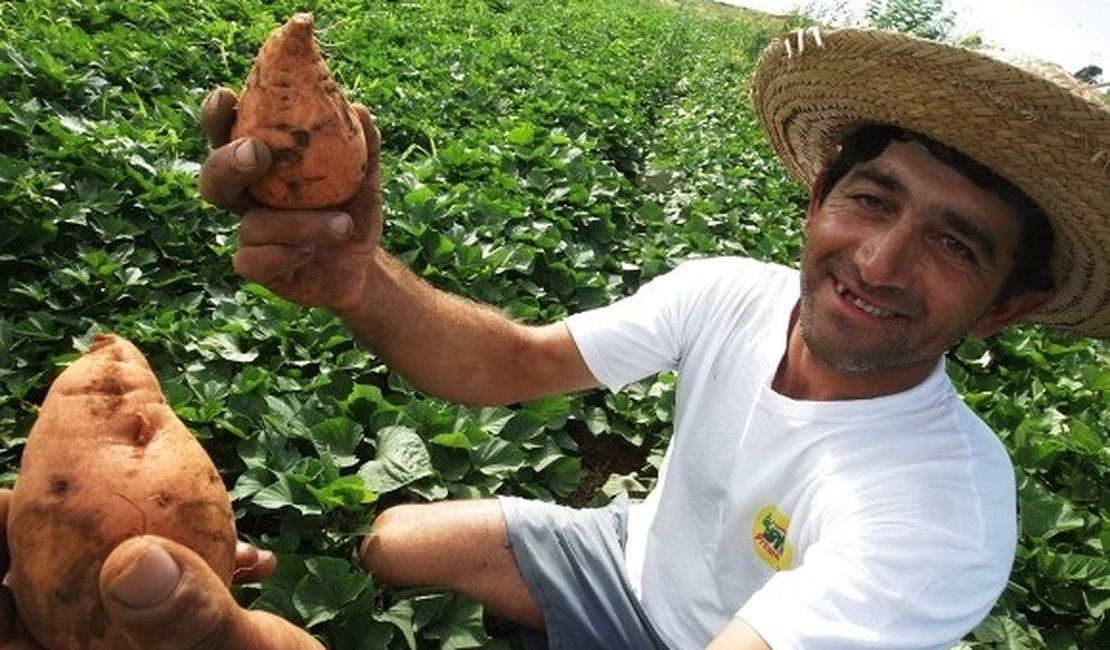 Unicafes realiza evento para incentivar comercialização da agricultura familiar