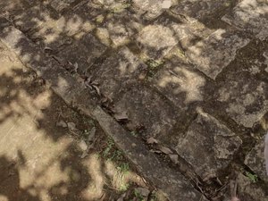 Homem é assassinado na zona rural de Belém