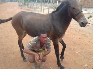 Suspeito de roubar animais de sítio é preso por populares no Agreste