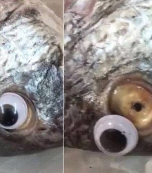 Vendedor põe olho falso em peixe para deixar produto 'mais fresco'