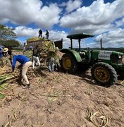 Programa Municipal de Produção de Silagem beneficia produtores em Santana do Ipanema