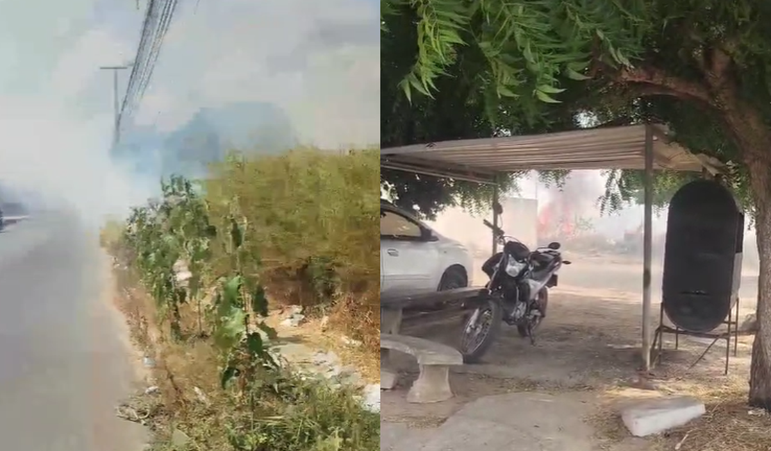 Três incêndios em vegetação são registrados em menos de três horas em Arapiraca
