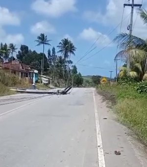 [Vídeo] Árvore e poste de energia desabam na AL 460, em Porto de Pedras