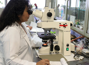 Empoderamento feminino no Brasil é médio-baixo mostra ONU