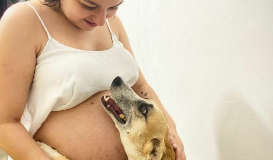 Foto de cachorra “cuidando” da barriga de dona grávida viraliza
