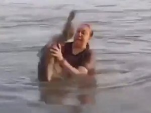Mulher confunde “tronco” e pega jacaré sem querer; vídeo viraliza