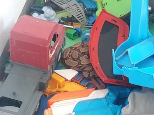 Menino de 3 anos encontra jiboia de mais de 1 metro em meio a brinquedos