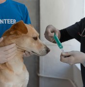 Comissão aprova projeto que cria banco de dados de doação de sangue animal em Maceió