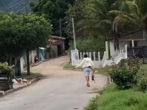 Cadelas são resgatadas de maus-tratos em Palmeira dos Índios
