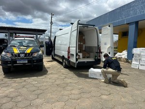 PRF apreende mais de uma tonelada de frutos do mar sem nota fiscal em São Sebastião