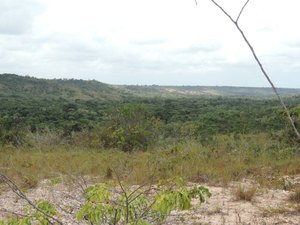 IMA faz levantamento de fauna para criação de Unidade de Conservação