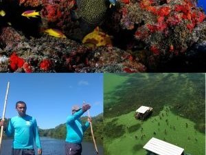 ICMBio: Orientações para credenciamento de prestadores de serviço de visitação