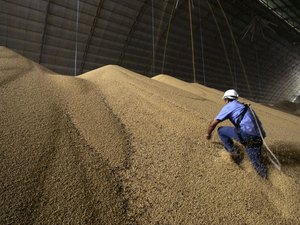 Conab: Brasil produzirá 265,9 milhões de toneladas de grãos