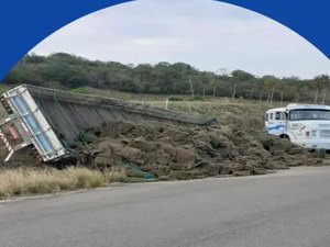 Caminhoneiro alagoano morre depois de se jogar na pista após veículo apresentar falha mecânica
