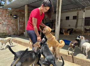 Maceió se destaca com lei que proíbe testes em animais para cosméticos e higiene pessoal