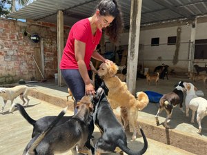 Maceió se destaca com lei que proíbe testes em animais para cosméticos e higiene pessoal