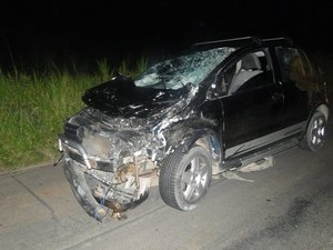 Animais na rodovia AL 220 provocam acidente durante a madrugada