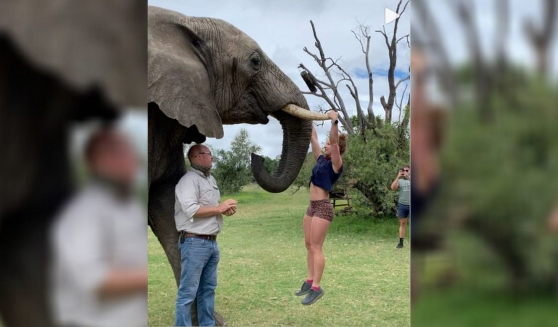 Empresária gera revolta ao fazer flexões nas presas de elefante