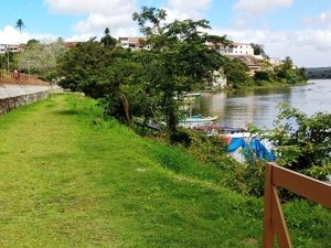 Orla de Penedo ganha mudas de árvores nativas