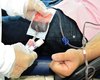 Hemoal faz em Murici a primeira coleta externa de sangue de maio nesta terça (5)