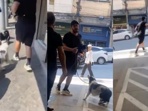 [Vídeo] Homem invade pet shop, rouba cachorro que estava para adoção e deixa funcionários feridos