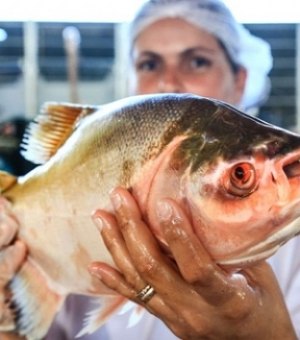 Agricultura promove Feira do Peixe Vivo nesta quarta e quinta-feira