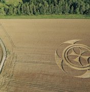 Símbolo gigantesco em campo de trigo atrai atenção de curiosos na França