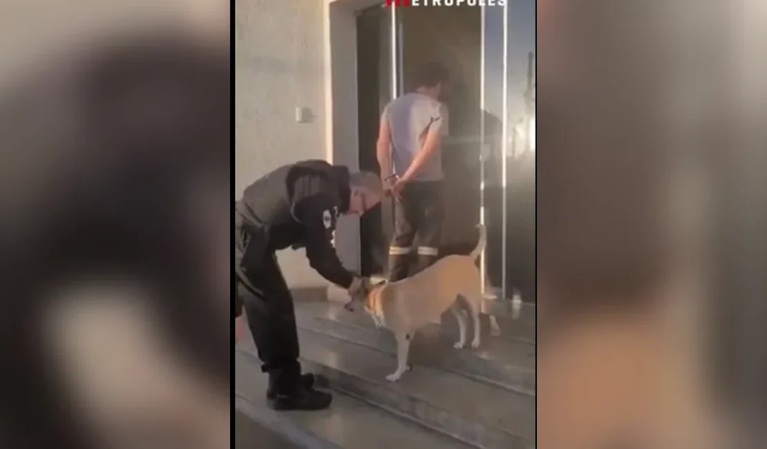 Reação de policial ao se deparar com cachorro durante prisão viraliza