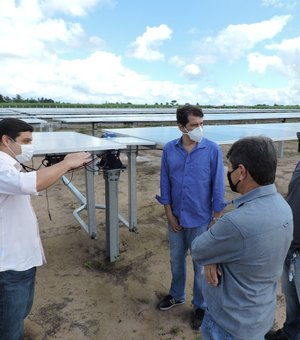 Energia solar produzida por miniusinas do Litoral Sul de Alagoas serão consumidas pela Casal