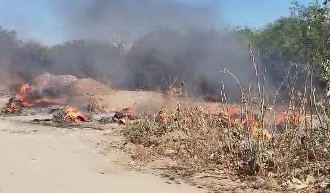 [Vídeo] Fumaça e fogo em vegetação chamam a atenção de moradores em Arapiraca