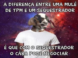 Criador da página 'Bode Gaiato' sofre sequestro relâmpago em Caruaru, PE