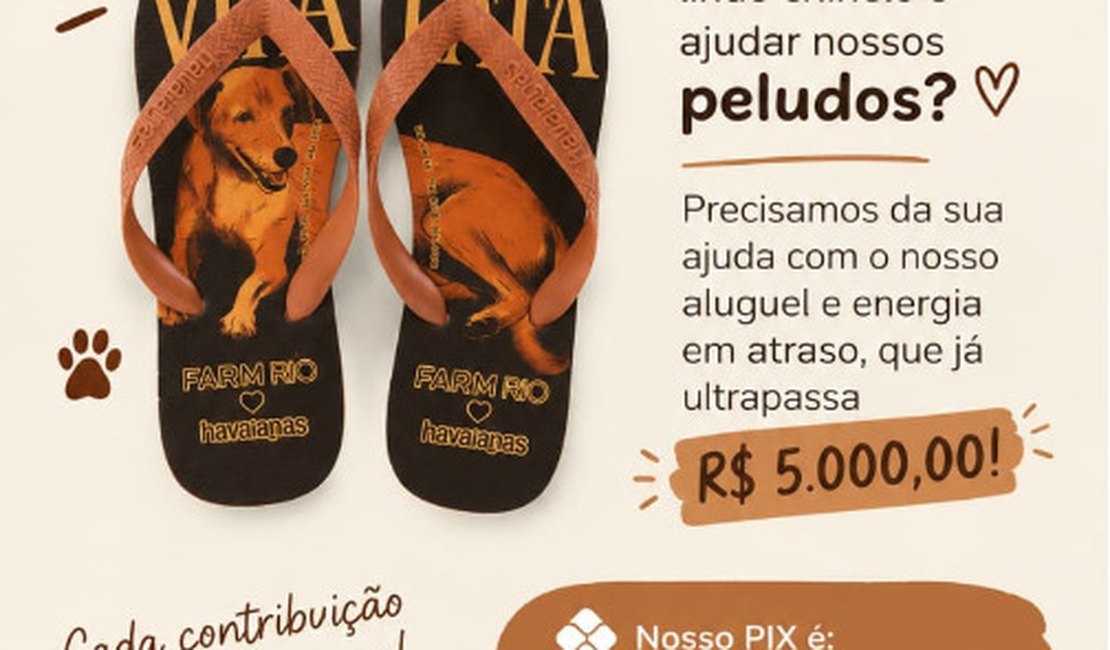 Abrigo de animais de Arapiraca pede ajuda para quitar dívida de R$ 5 mil