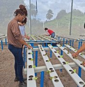 Ifal Maragogi: inscrições para curso superior de Tecnologia em Horticultura terminam neste domingo (19)