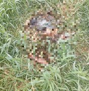 Ossada humana é achada em terreno na zona urbana de Matriz de Camaragibe