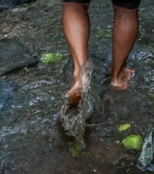 Leptospirose: saiba como evitar a doença no período chuvoso