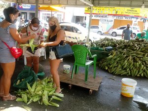 Término dos festejos juninos reduz preço da 'mão de milho' em Maceió