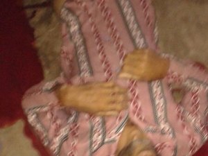 Homem é assassinado a tiros em Traipu