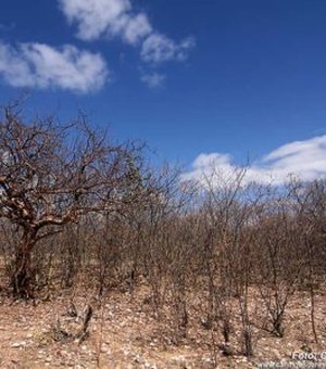 Corte da Operação Pipa provoca escassez de água potável em Alagoas