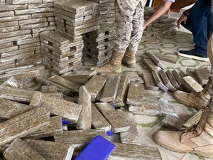 Drogas apreendidas em residência de Arapiraca são avaliadas em mais de R$ 4 milhões