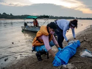 Mais de 100 botos são encontrados mortos em meio a seca no Amazonas