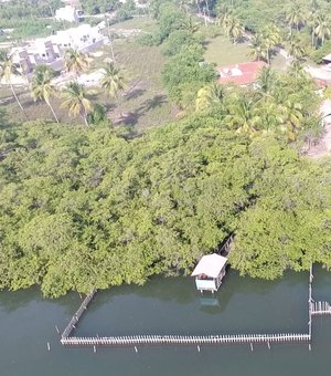 Prefeitura de Porto de Pedras acompanha situação dos peixes-bois