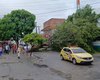 Árvore cai, atinge carro, fiação e interdita avenida em frente ao terminal de ônibus do Benedito