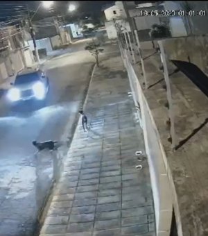 [Vídeo] Homem é condenado por perseguir e atropelar cachorro em Maceió